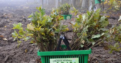 Климентовецьке лісництво акція пам'ять Хмельниччина Климентовецьке лісництво акція пам'ять Хмельниччина