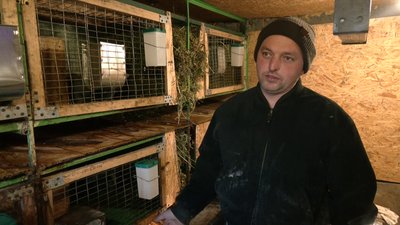 Андрій поруч з клітками, де мешкають його кролики Андрій поруч з клітками, де мешкають його кролики