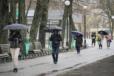 Мокрий сніг у Харкові Мокрий сніг у Харкові