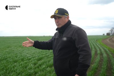 Постраждало близько 2% посівів: як аграрії Одещини пережили зиму і що чекати від врожаю Постраждало близько 2% посівів: як аграрії Одещини пережили зиму і що чекати від врожаю