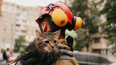 Життя котика важливе. Історія про перший бойовий виїзд житомирського рятувальника Життя котика важливе. Історія про перший бойовий виїзд житомирського рятувальника
