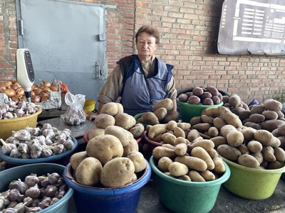 Новий урожай картоплі на Полтавщині: які ціни на ринках та в супермаркетах Новий урожай картоплі на Полтавщині: які ціни на ринках та в супермаркетах