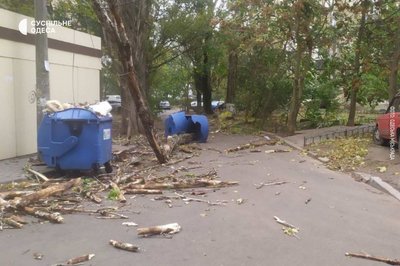 В Одесі через негоду впали дерева