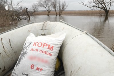 Людей і продукти возять човном: село на Одещині відрізане повінню Людей і продукти возять човном: село на Одещині відрізане повінню