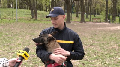 Шукають людей у лісі, на воді та під завалами: історії собак-пошуковиць Нагайни та Луни з Рівненщини Шукають людей у лісі, на воді та під завалами: історії собак-пошуковиць Нагайни та Луни з Рівненщини