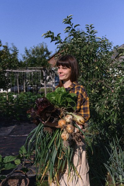 Коли і як садити озимий часник та цибулю: поради садівниці Коли і як садити озимий часник та цибулю: поради садівниці