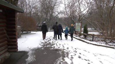 Для Валентинів та закоханих пар вхід безкоштовний: акція у Рівненському зоопарку Для Валентинів та закоханих пар вхід безкоштовний: акція у Рівненському зоопарку