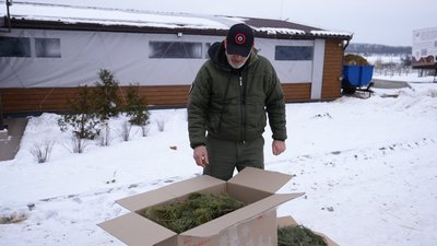 Екоферма на Дніпропетровщині, де перебувають тварини, евакуйовані з зони бойових дій, приймає ялинки на корм Екоферма на Дніпропетровщині, де перебувають тварини, евакуйовані з зони бойових дій, приймає ялинки на корм