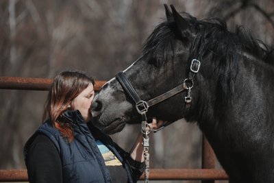 В екопарку під Харковом оселився врятований з Куп’янщини кінь Мітяй В екопарку під Харковом оселився врятований з Куп’янщини кінь Мітяй
