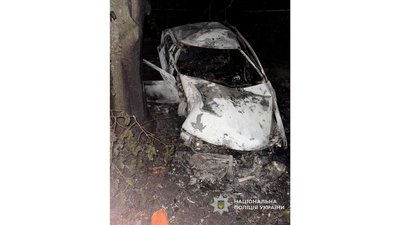 Зіткнувся з деревом та згорів: на Чернігівщині в ДТП загинув водій легковика Зіткнувся з деревом та згорів: на Чернігівщині в ДТП загинув водій легковика