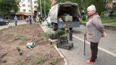 Клумби на Віденській Клумби на Віденській