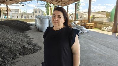 Експорт зерна: що відомо про реалізацію агропродукції з Миколаївщини Експорт зерна: що відомо про реалізацію агропродукції з Миколаївщини