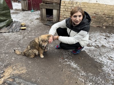 "Хочеться, щоб люди приїздили". Село на Сумщині безоплатно приймає переселенців "Хочеться, щоб люди приїздили". Село на Сумщині безоплатно приймає переселенців
