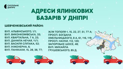 У Дніпрі визначили місця продажу ялинок