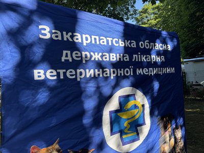 В Ужгороді 28-29 травня проводять безкоштовну вакцинацію проти сказу для домашніх тварин В Ужгороді 28-29 травня проводять безкоштовну вакцинацію проти сказу для домашніх тварин