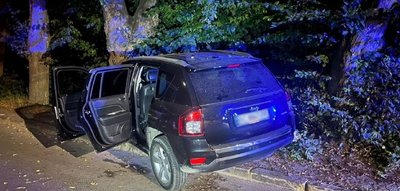 На Львівщині нетвереза водійка авто в'їхала в дерево: травми отримав пасажир На Львівщині нетвереза водійка авто в'їхала в дерево: травми отримав пасажир
