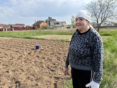 Рання висадка картоплі на Полтавщині: коли треба починати садити Рання висадка картоплі на Полтавщині: коли треба починати садити