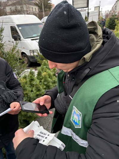 Ліс, новорічна ялинка, Різдво, Новий рік, свято, штраф, Житомирщина Ліс, новорічна ялинка, Різдво, Новий рік, свято, штраф, Житомирщина