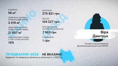 Що задекларували голови МСЕК на Сумщині Що задекларували голови МСЕК на Сумщині