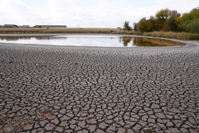 На місці ставка — калюжа: на Дніпропетровщині масово пересихають водойми. Що каже еколог На місці ставка — калюжа: на Дніпропетровщині масово пересихають водойми. Що каже еколог