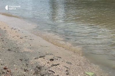У Дунаї та придунайських озерах на Одещині знижується рівень води: яка причина У Дунаї та придунайських озерах на Одещині знижується рівень води: яка причина