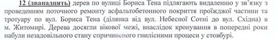 В Житомирі на одній з вулиць під час ремонту тротуару зріжуть 12 дерев В Житомирі на одній з вулиць під час ремонту тротуару зріжуть 12 дерев