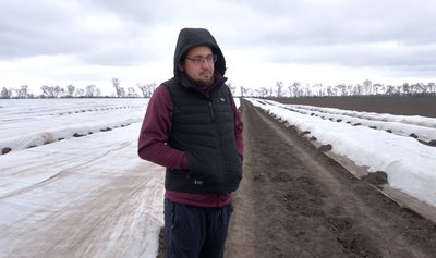 Погодні гойдалки: як фермери Черкащини рятують насадження від весняних морозів Погодні гойдалки: як фермери Черкащини рятують насадження від весняних морозів