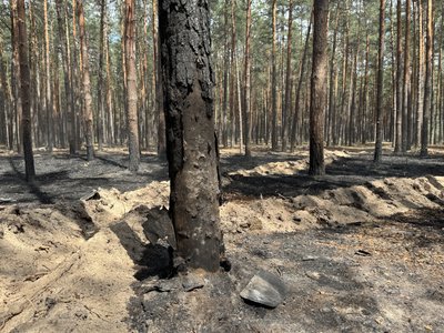 Екоциди та пожежі: якої шкоди завдає військове вторгнення РФ довкіллю Сумщини Екоциди та пожежі: якої шкоди завдає військове вторгнення РФ довкіллю Сумщини