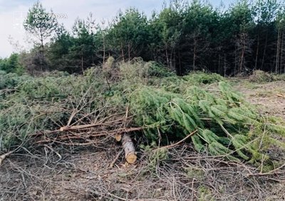 Голова громади на Волині склала повноваження після оголошення підозри Голова громади на Волині склала повноваження після оголошення підозри