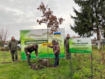На Волині висадили символічне мільярдне дерево На Волині висадили символічне мільярдне дерево