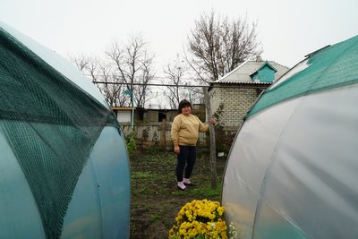 Фермерка біля теплиць у Студенку під Ізюмом Фермерка біля теплиць у Студенку під Ізюмом