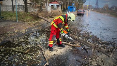 Співробітник ДСНС відпилює гілки з поваленого дерева: наслідки негоди на Чернігівщині Співробітник ДСНС відпилює гілки з поваленого дерева: наслідки негоди на Чернігівщині
