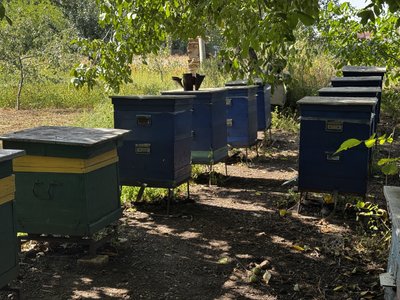 «Не знаємо, чи будемо тут зимувати»: як живуть без світла та під обстрілами у Хрестищі на Донеччині «Не знаємо, чи будемо тут зимувати»: як живуть без світла та під обстрілами у Хрестищі на Донеччині