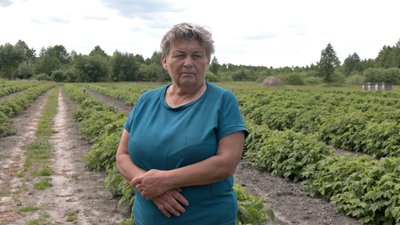"Зуби дракона", мінні поля і протитанкові рови: як на Волині укріплений держкордон із Білоруссю "Зуби дракона", мінні поля і протитанкові рови: як на Волині укріплений держкордон із Білоруссю