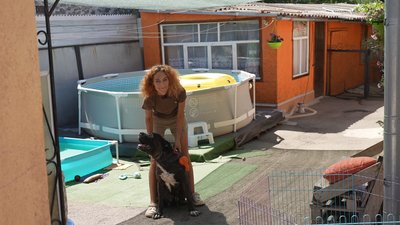 Українська мова навіть у вихованні собак. Українська мова навіть у вихованні собак.
