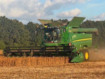 На Вінниччині збирають сою: що агрономи кажуть про урожайність На Вінниччині збирають сою: що агрономи кажуть про урожайність