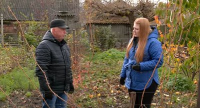 Обрізаємо та укриваємо виноград: поради від черкаського садівника Обрізаємо та укриваємо виноград: поради від черкаського садівника