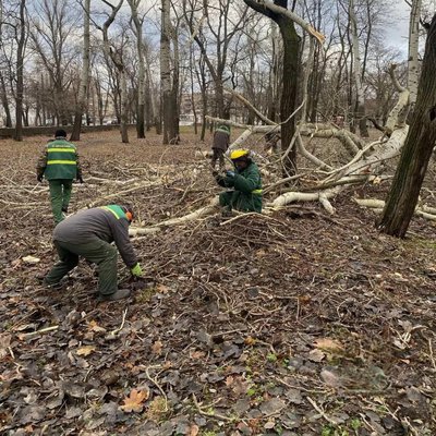 Два повністю перекрили рух: у Черкасах від сильного вітру впали кілька дерев Два повністю перекрили рух: у Черкасах від сильного вітру впали кілька дерев