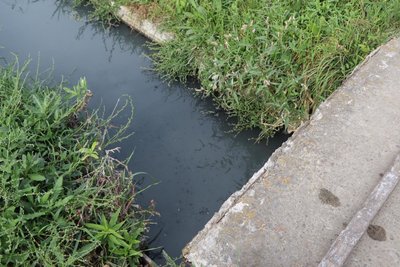 Забруднення озера Ігнатенкове в Охтирці на Сумщині: що відомо Забруднення озера Ігнатенкове в Охтирці на Сумщині: що відомо