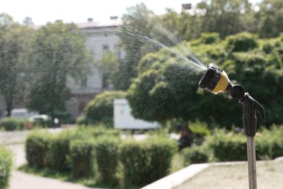 Водяний розпилювач на Соборній площі Чернівців Водяний розпилювач на Соборній площі Чернівців