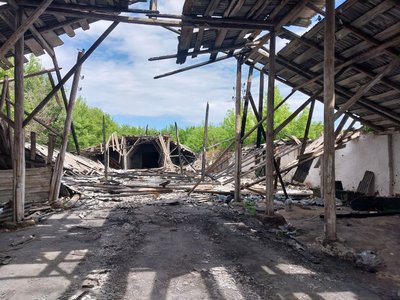 "По селу стріляють". Як живуть у Пісках на прикордонні Сумщини "По селу стріляють". Як живуть у Пісках на прикордонні Сумщини