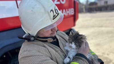 Тварини у новинах: яким був 2025 рік для чотирилапих на Житомирщині Тварини у новинах: яким був 2025 рік для чотирилапих на Житомирщині