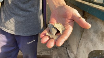заводи харківщина заводи харківщина