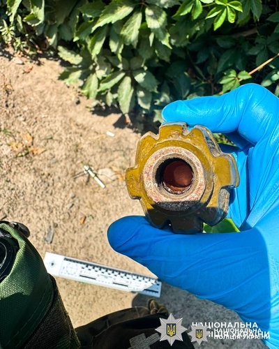 Бойову гранату виявили під час виклику про домашнє насильство на Рівненщині