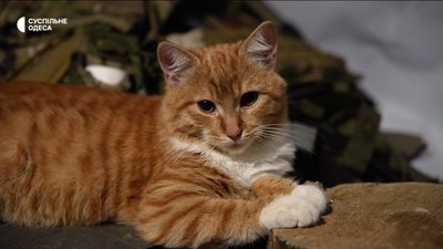 Один день з одеською бригадою ім. Лицарів Зимового Походу: репортаж з фронту Один день з одеською бригадою ім. Лицарів Зимового Походу: репортаж з фронту
