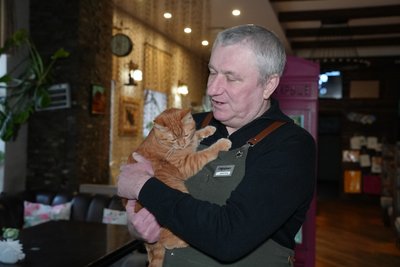 "Почуваються тут господарями". Четверо котів знайшли новий дім у херсонській кав’ярні "Почуваються тут господарями". Четверо котів знайшли новий дім у херсонській кав’ярні