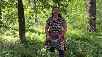 “Ягода класна”: як на рівненському Поліссі збирають чорниці “Ягода класна”: як на рівненському Поліссі збирають чорниці