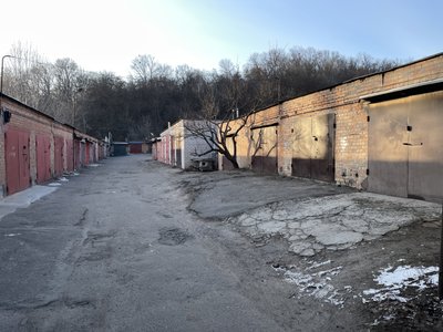 "Множинні опіки II-III ступеня": у Полтаві врятували кішку, над якою познущалися невідомі "Множинні опіки II-III ступеня": у Полтаві врятували кішку, над якою познущалися невідомі