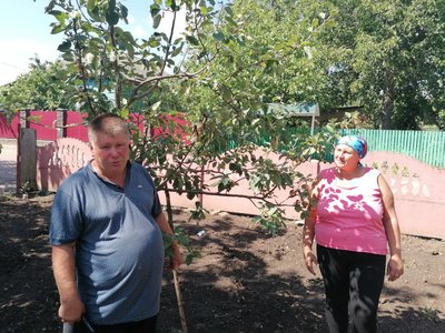 "Мріяв працювати на землі, посадити сад, але не встиг". На Кіровоградщині батьки у пам'ять про сина створюють сад "Мріяв працювати на землі, посадити сад, але не встиг". На Кіровоградщині батьки у пам'ять про сина створюють сад