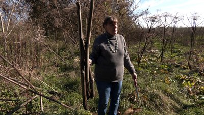 З борщівника — музичні інструменти: п'ять різновидів дощовиць виготовляє ветеринарка з Луцька З борщівника — музичні інструменти: п'ять різновидів дощовиць виготовляє ветеринарка з Луцька